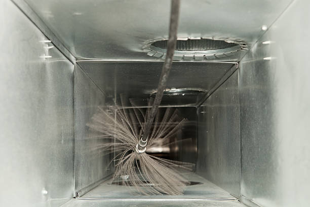 Best Dryer Vent Cleaning Services  in Alamo, CA